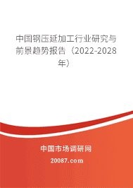中国钢压延加工行业研究与前景趋势报告（2022-2028年）